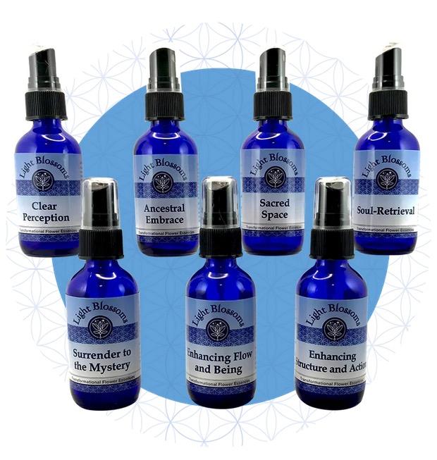 Advanced Practitioner Set