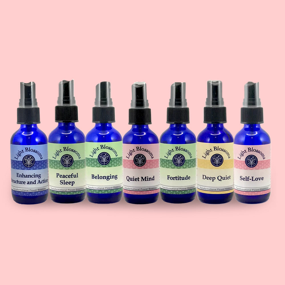 ADD & ADHD - Full Set