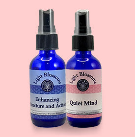 Add & Adhd - Set of 2