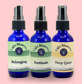 Add & Addd - Set of 3