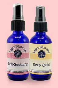 Anxiety & Stress - Set of 2