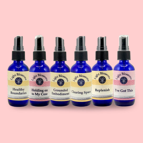 Boundaries, Sensitivity & Overstimulation – Full Set