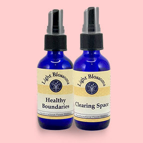 Boundaries & Overstimulation–Set of 2