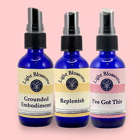 Boundaries & Overstimulation–Set of 3