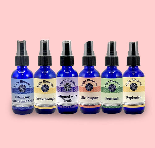 Focus & motivation - Full Set