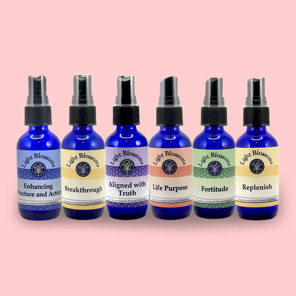 Focus & motivation - Full Set