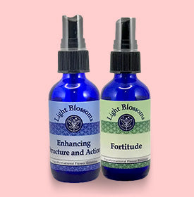 Focus & motivation -  Set of 2