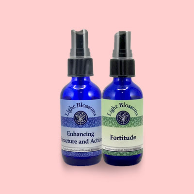 Focus & motivation -  Set of 2