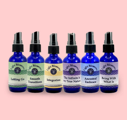 Grief & Loss - Full Set