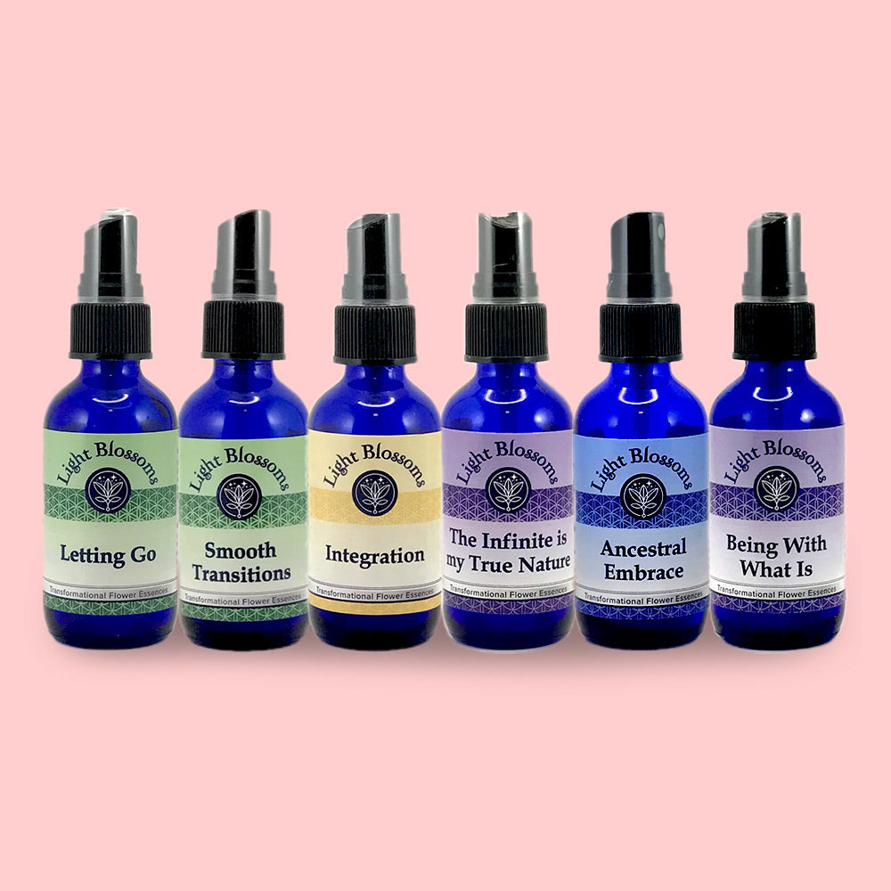 Grief & Loss - Full Set