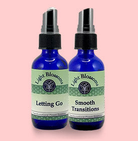 Grief & Loss - set of 2