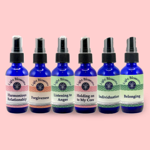 Relationship & challenges - Full Set