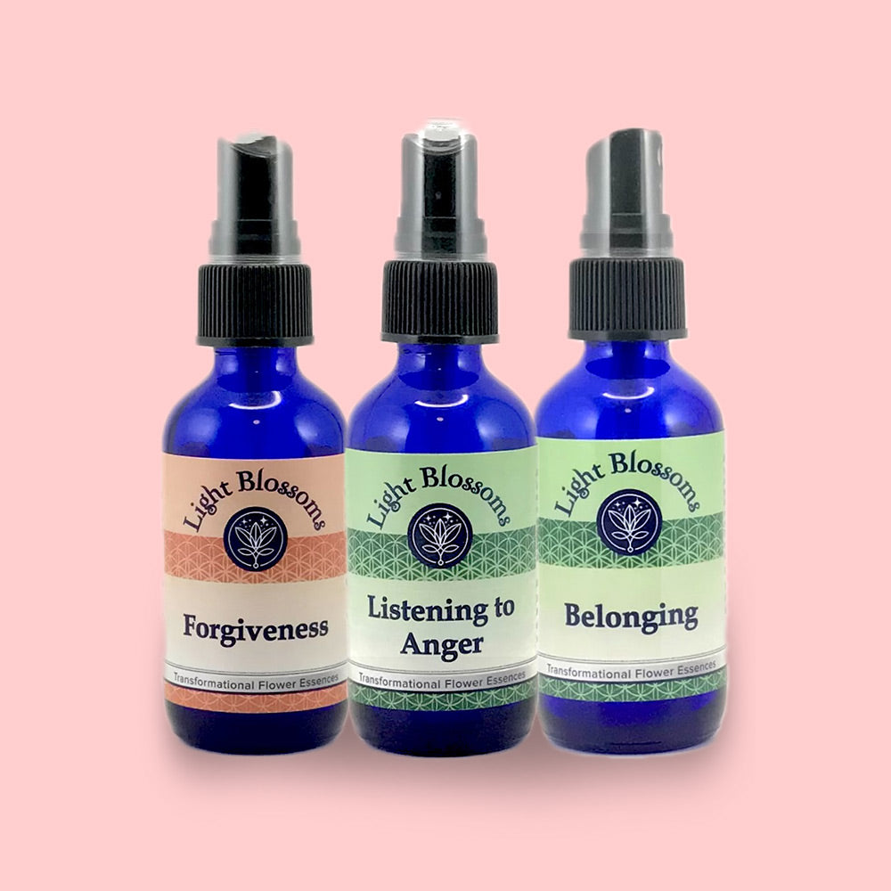 Focus & motivation -  Set of 3