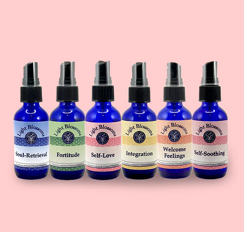 Trauma & recovery - Full Set