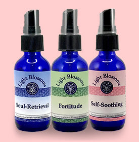 Trauma & recovery - Set of 3