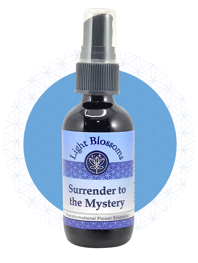 Surrender to the Mystery
