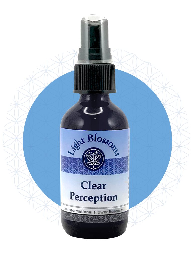 Clear Perception