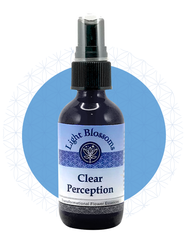 Clear Perception Clear Perception - Light Blossoms