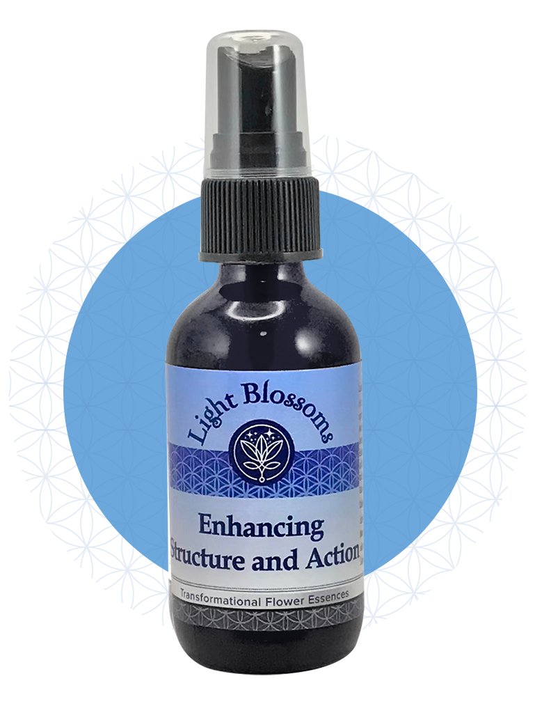 Enhancing Structure and Action