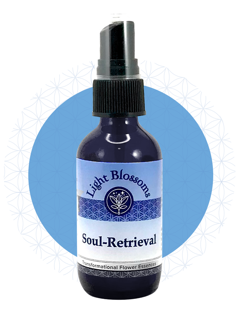 Soul Retrieval