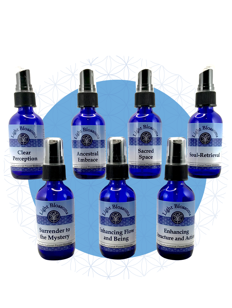 Advanced Practitioner Full Set