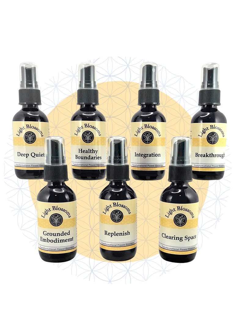 Practitioner Full Set