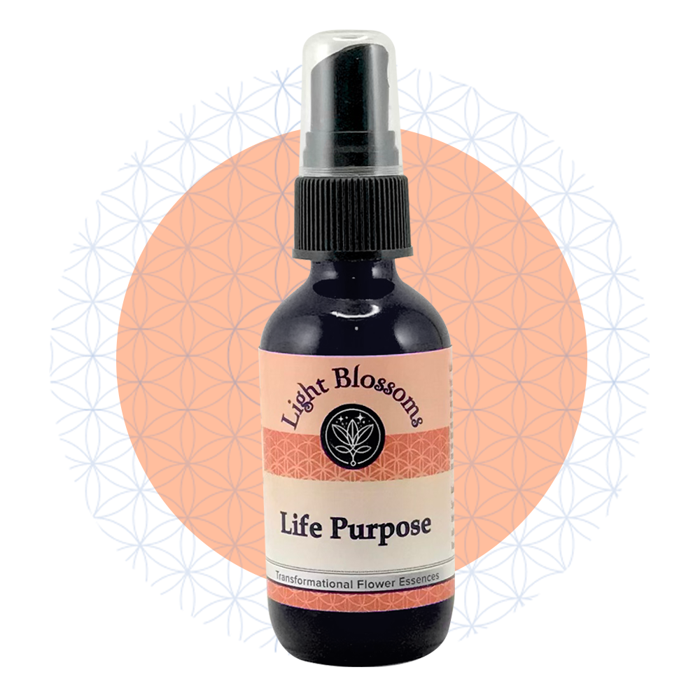 Life Purpose