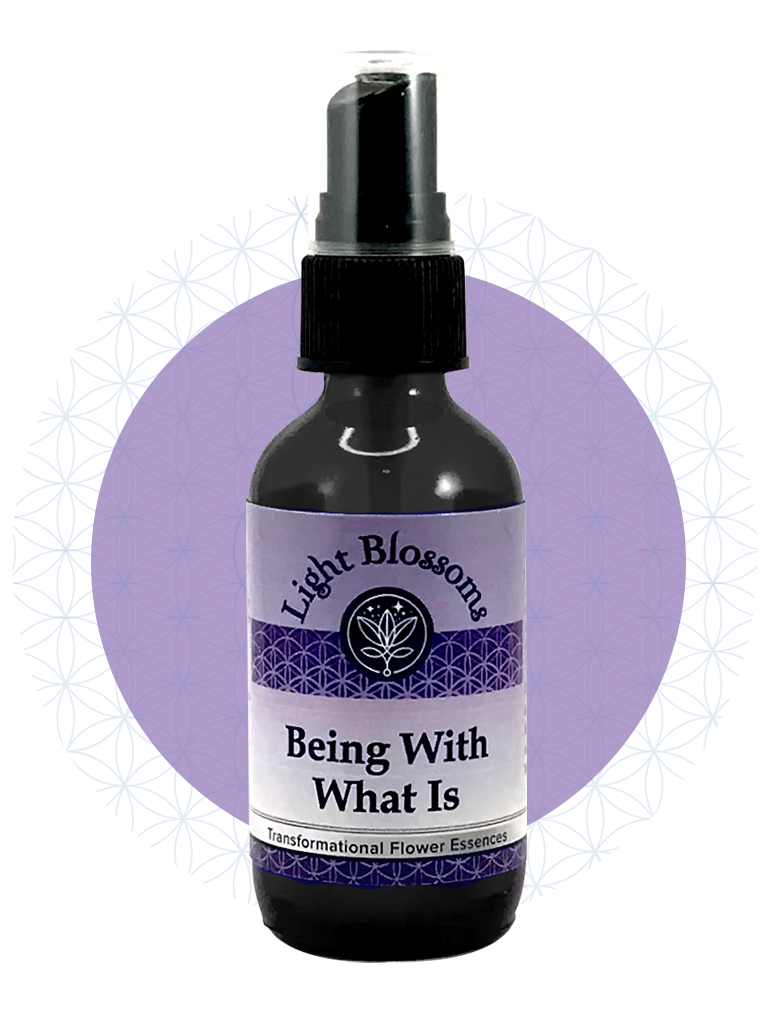 Being with what is