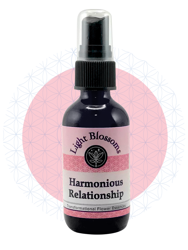 Harmonious Relationship