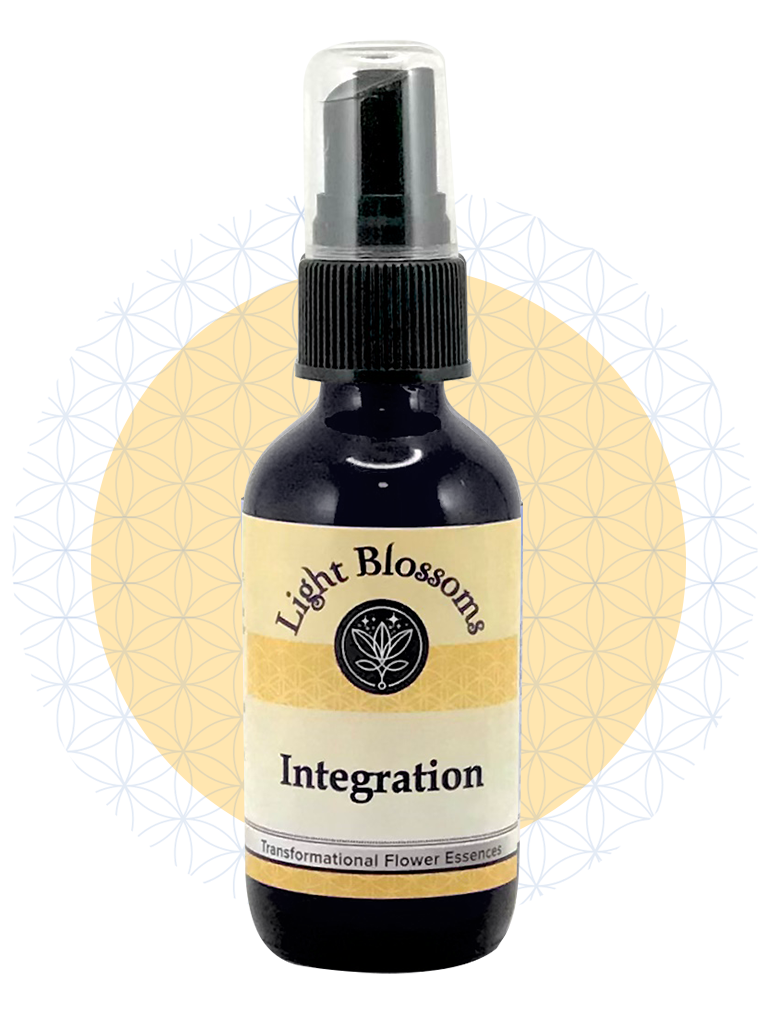 Integration