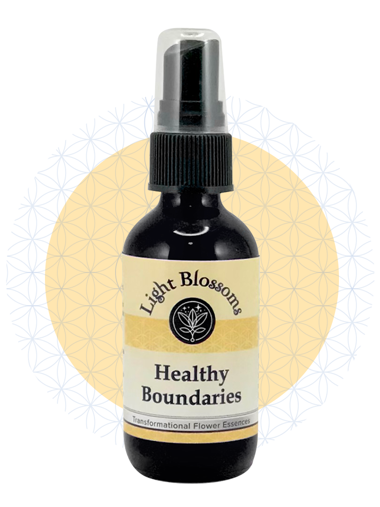 Healthy Boundary