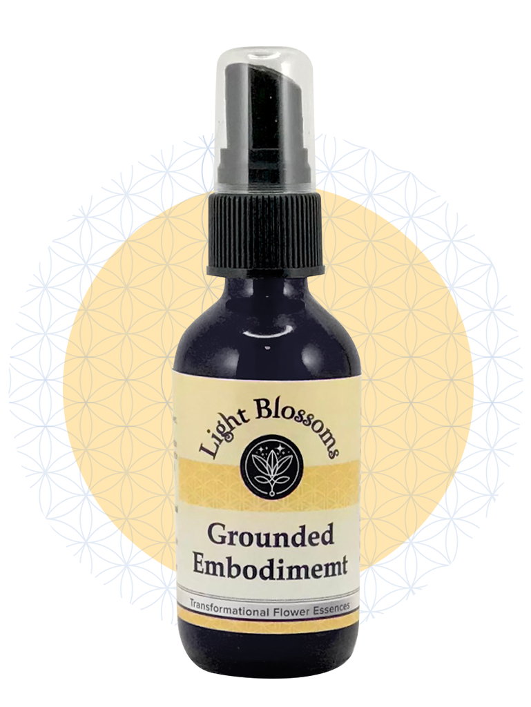 Grounded Embodiment